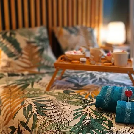 דירה O Belappart - Garage Prive Gratuit Et Terrasse En Centre-ville קאין